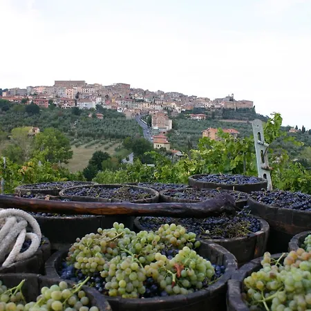 Farm stay La Pietriccia Chianciano Terme