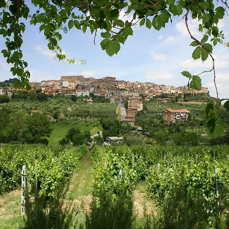 La Pietriccia Farm stay Chianciano Terme